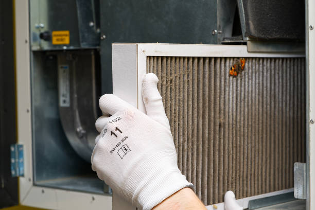 Best Affordable HVAC Duct Cleaning  in Lighthouse Point, FL