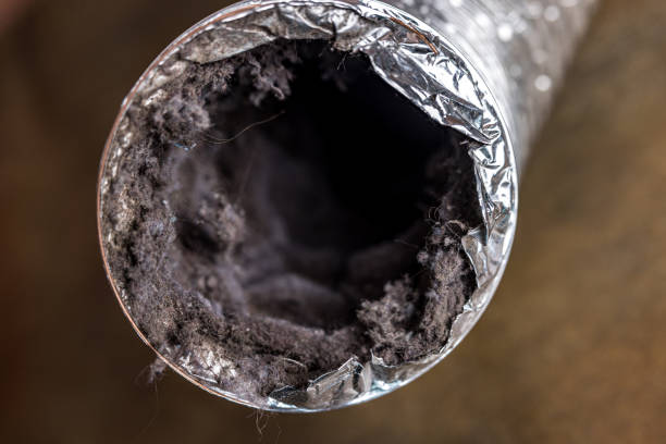Air Duct Mold Removal in Lighthouse Point, FL
