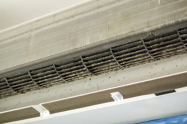 Reliable Lighthouse Point, FL Airduct Cleaning Solutions