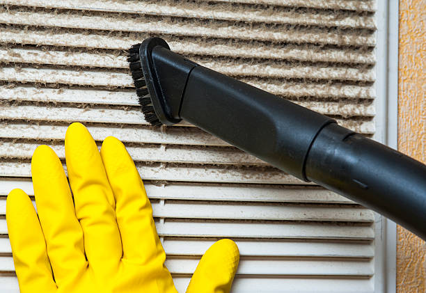 Best Air Duct Mold Removal  in Lighthouse Point, FL